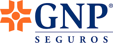 GNP